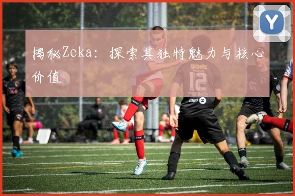 揭秘Zeka：探索其独特魅力与核心价值