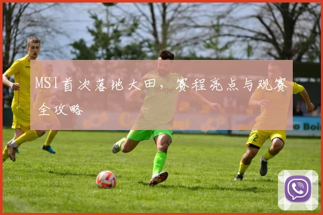 MSI首次落地大田,赛程亮点与观赛全攻略