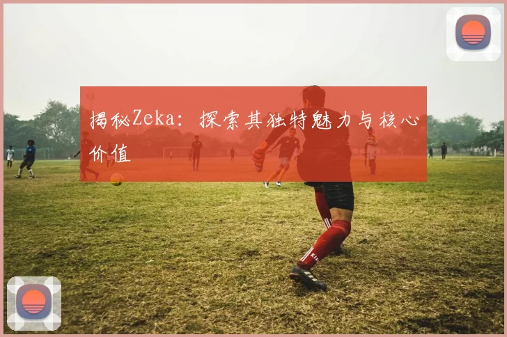 揭秘Zeka：探索其独特魅力与核心价值