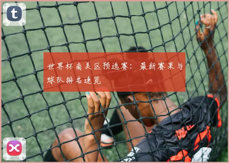 世界杯南美区预选赛：最新赛果与球队排名速览