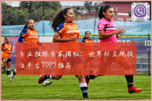 专业推球专家揭秘：世界杯正规投注平台TOP5推荐