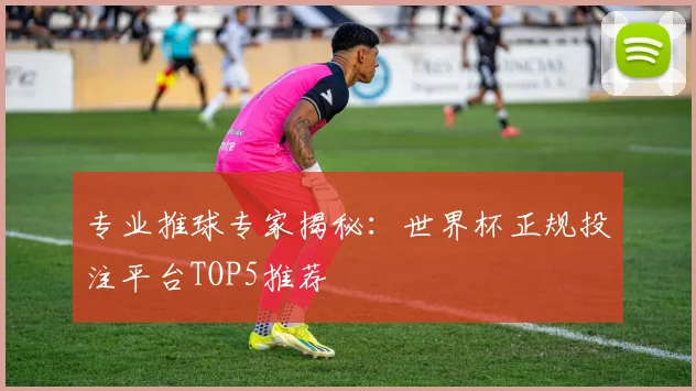 专业推球专家揭秘：世界杯正规投注平台TOP5推荐